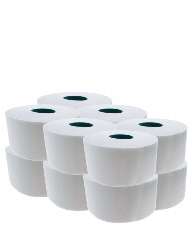 Papier toaletowy PLUS 450 2W 100% CELULOZA (12 SZT.).jpg