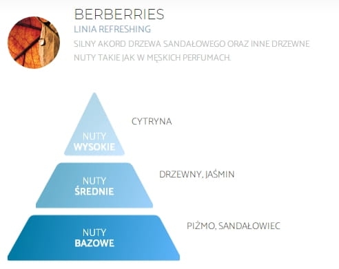 SPRING AIR® Berberries - 250ml - Profesjonalny i naturalny odświeżacz powietrza nuty.jpg