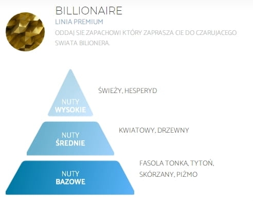 SPRING AIR®  Billionaire - 250ml - Profesjonalny i naturalny odświeżacz powietrza nuty.jpg