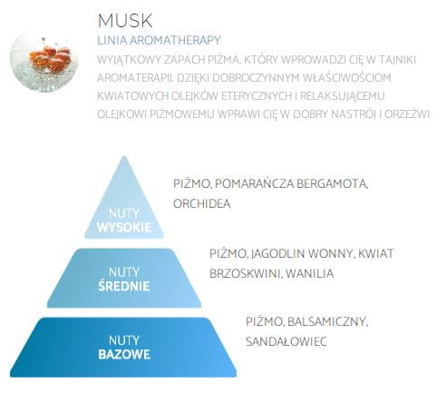 SPRING AIR®  Musk - 250ml - Profesjonalny i naturalny odświeżacz powietrza nuty.jpg